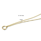 Collier rondje diamant 41 - 43 - 45 cm 0.01ct g si 14k geelgoud