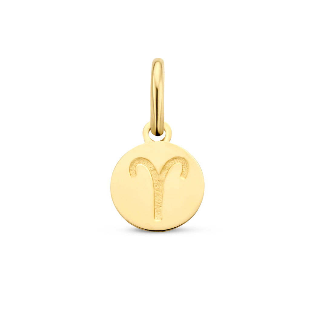 Hanger sterrenbeeld 14k geelgoud