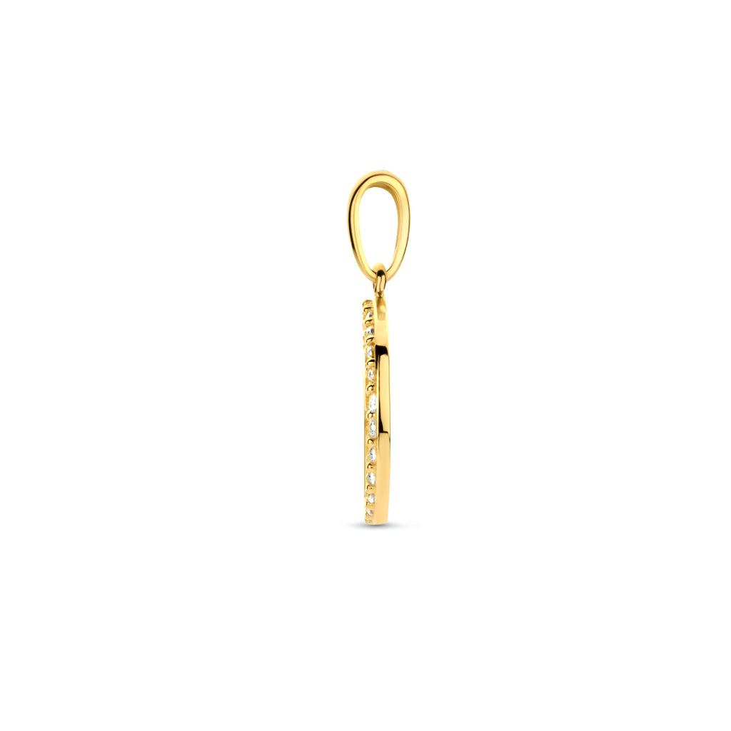 Hanger sterrenbeeld zirkonia 14k geelgoud