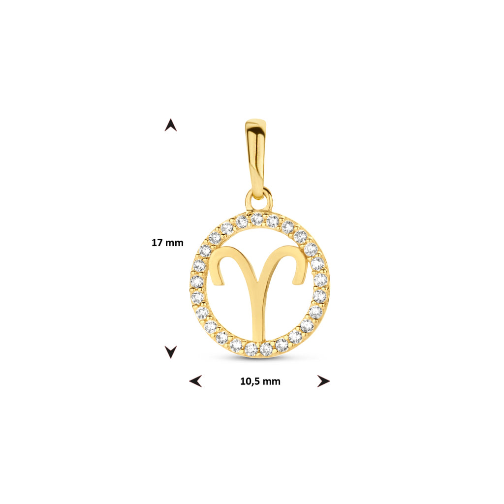 Hanger sterrenbeeld zirkonia 14k geelgoud