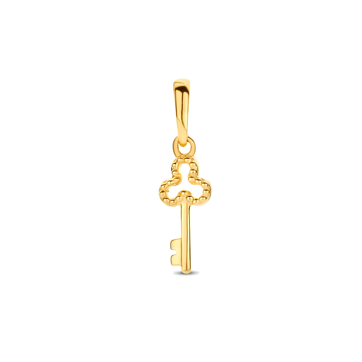 Hanger sleutel 14k geelgoud