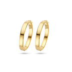 Oorringen 14k geelgoud