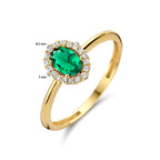 Ring groen en wit zirkonia halo 14k geelgoud