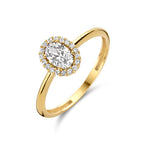 Ring zirkonia halo 14k geelgoud