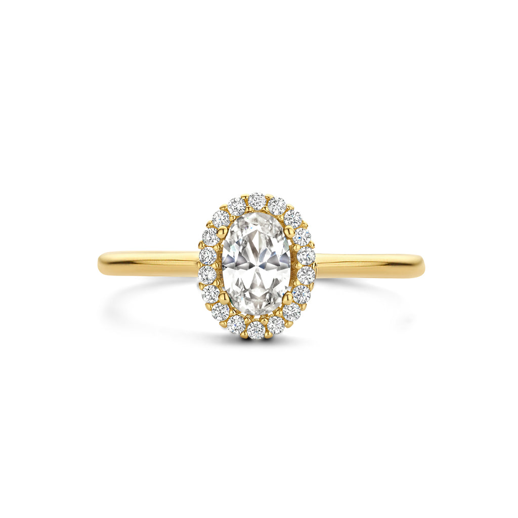 Ring zirkonia halo 14k geelgoud