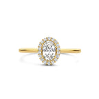 Ring zirkonia halo 14k geelgoud