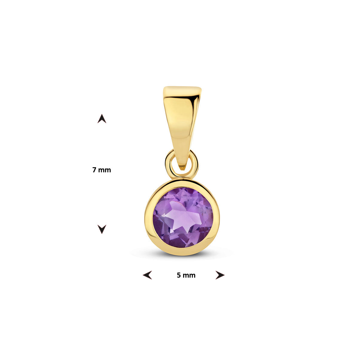 Hanger met geboortesteen 14k geelgoud