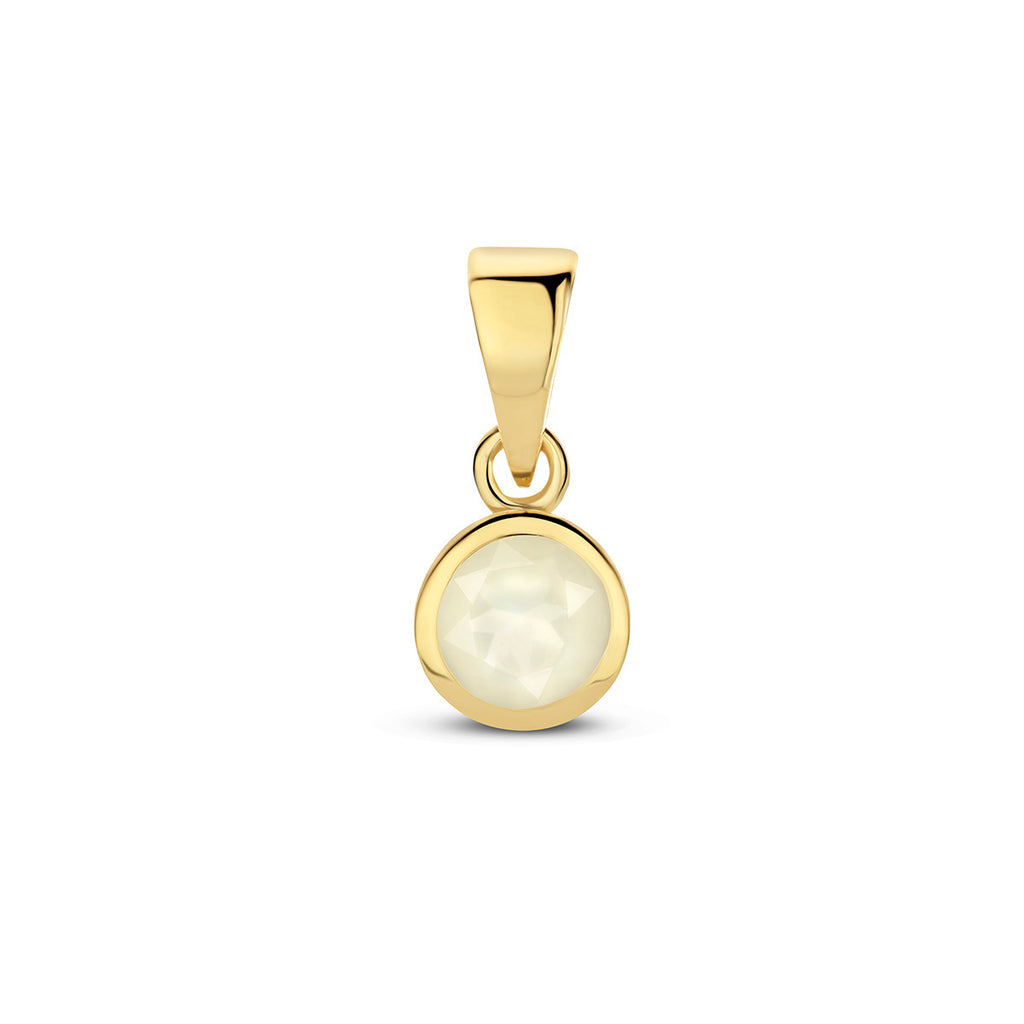Hanger met geboortesteen 14k geelgoud
