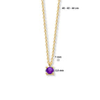 Collier met geboortesteen 40 - 42 - 44 cm 14k geelgoud