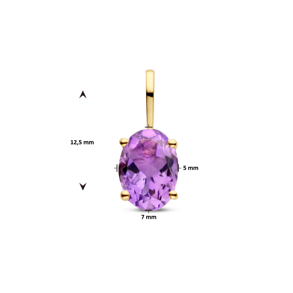 Hanger met geboortesteen 14k geelgoud
