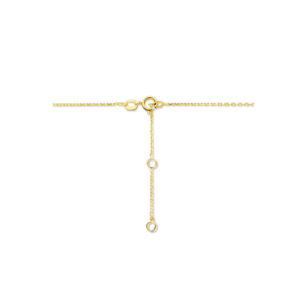 Graveercollier met zirkonia geboortesteen 45 - 47 - 49 cm 14k geelgoud