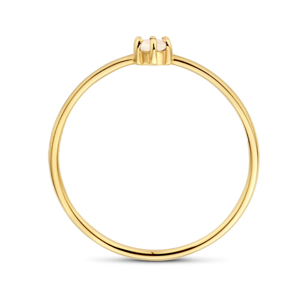 Ring met geboortesteen maansteen juni 14k geelgoud