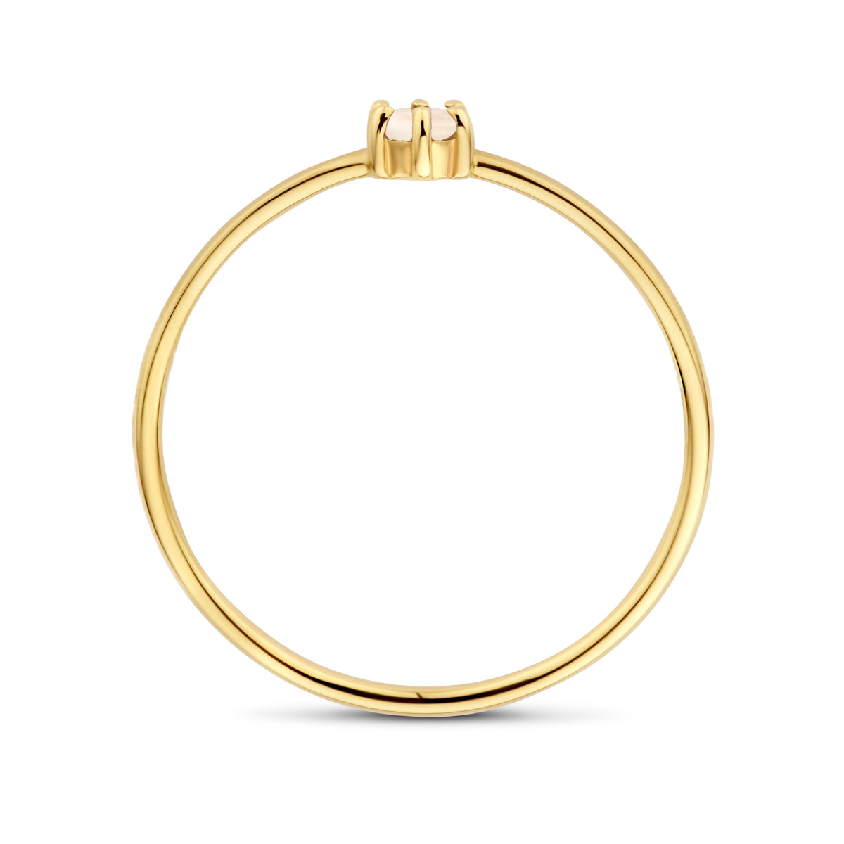 Ring met geboortesteen maansteen juni 14k geelgoud