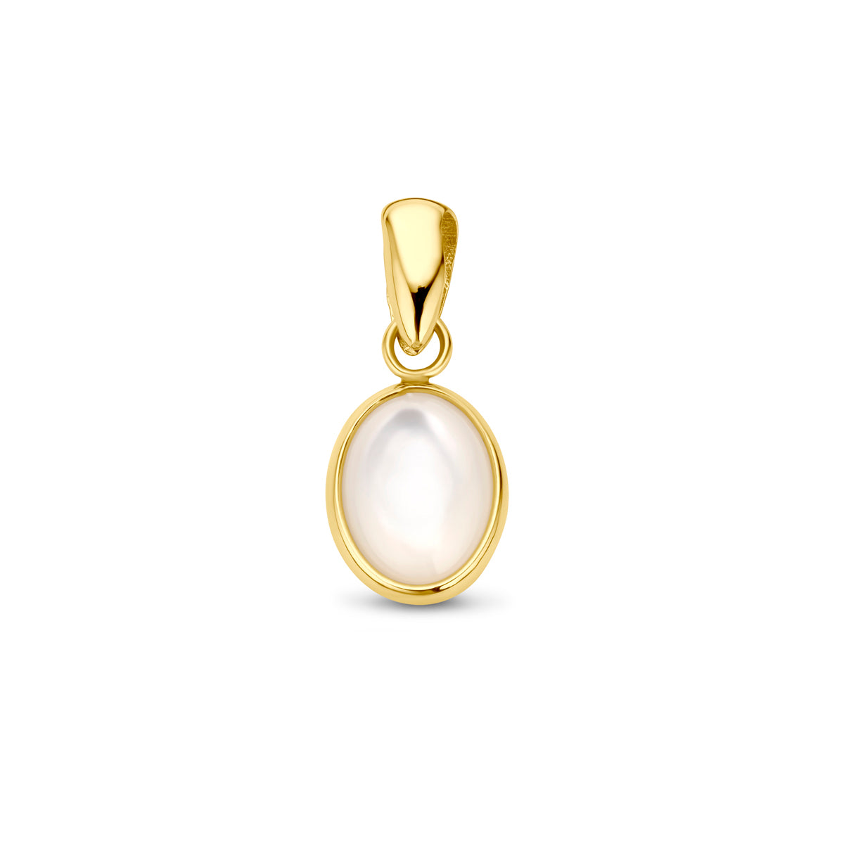 Hanger parelmoer 14k geelgoud