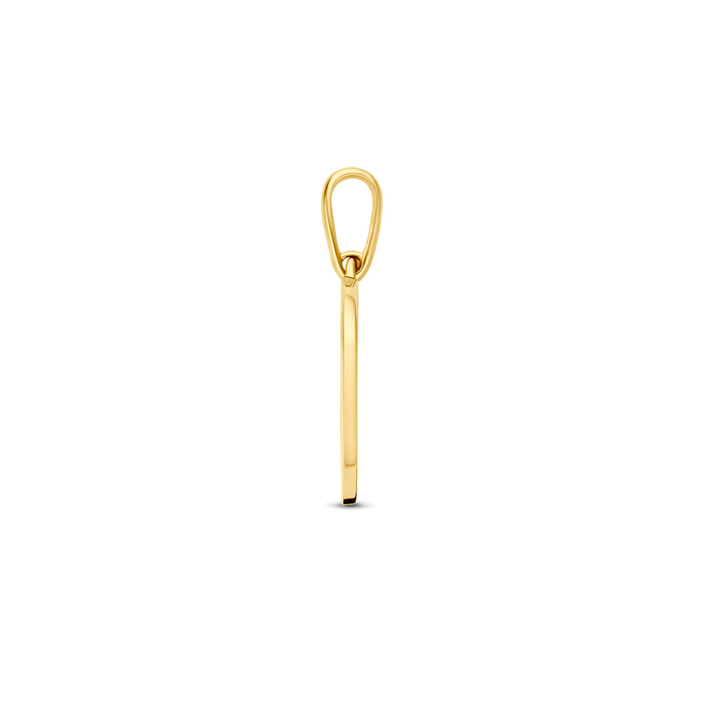 Hanger met geboortebloem 14k geelgoud