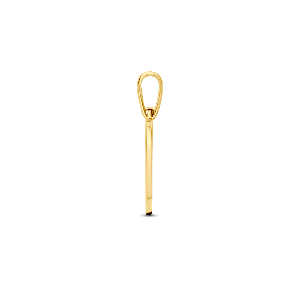 Hanger met geboortebloem 14k geelgoud