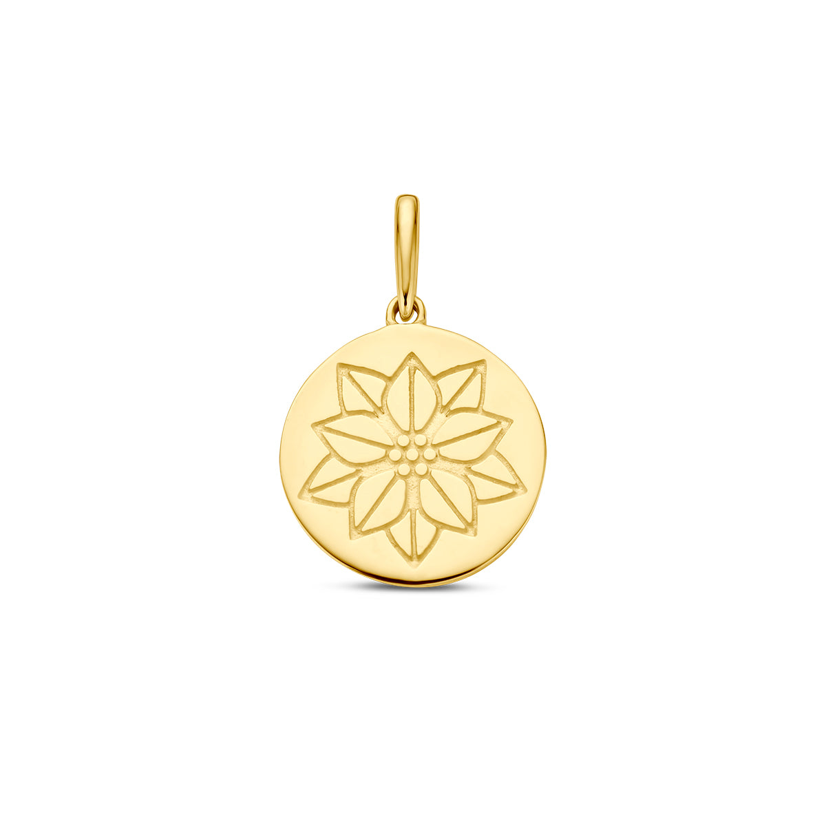 Hanger met geboortebloem 14k geelgoud