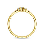 Ring trilogie diamant 0.08ct h si 14k geelgoud