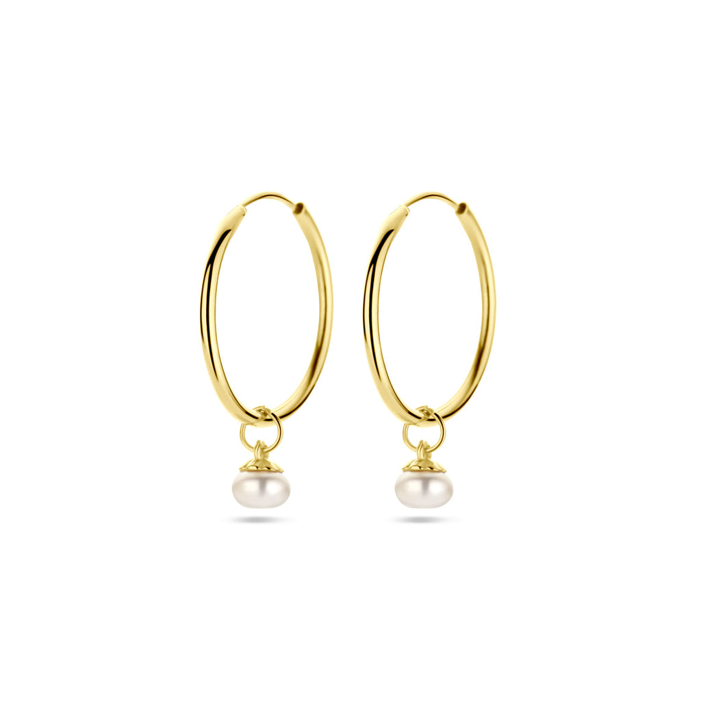 Oorringen parel 14k geelgoud