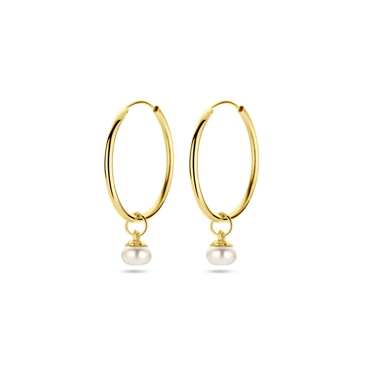 Oorringen parel 14k geelgoud
