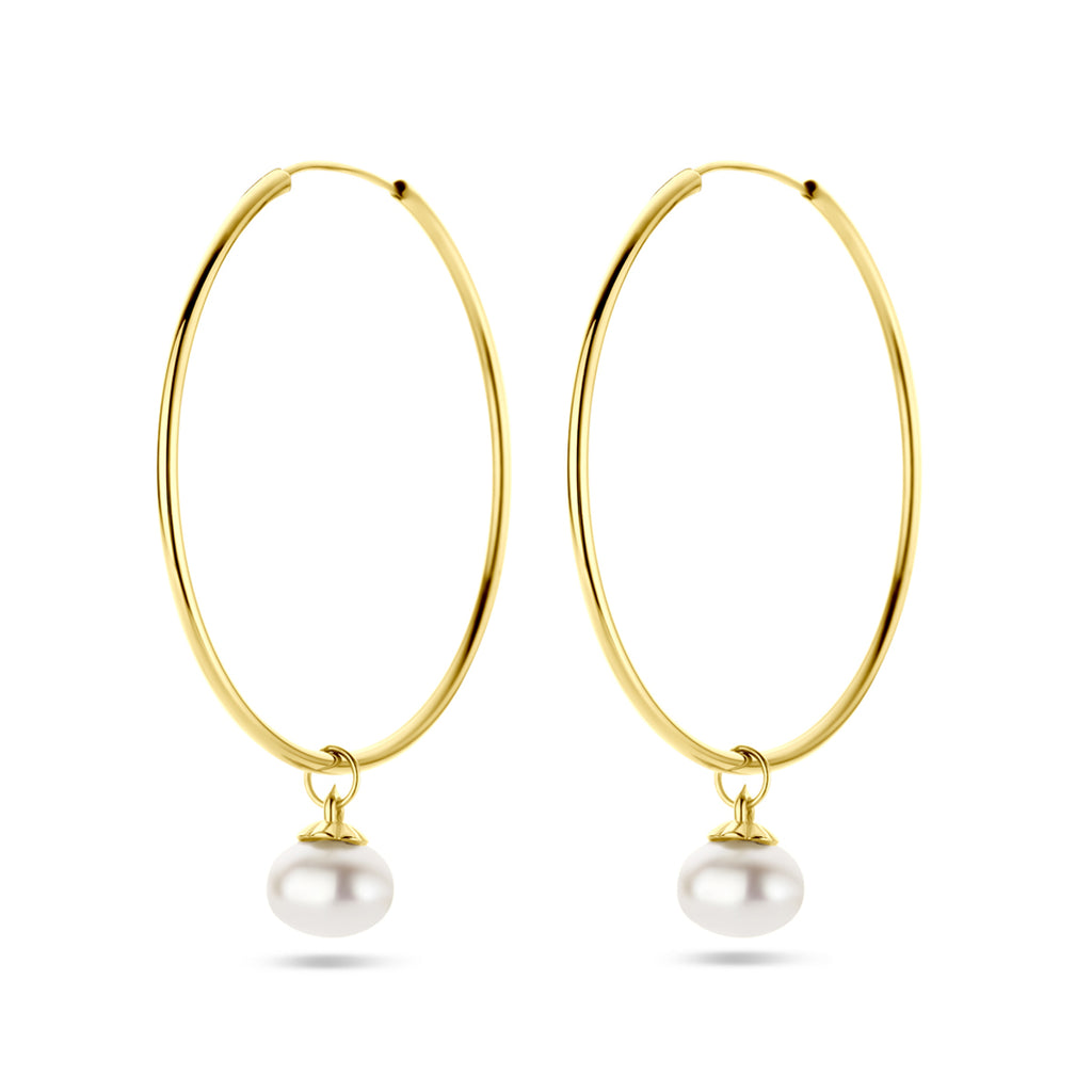 Oorringen parel 14k geelgoud