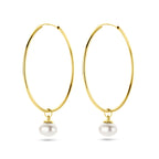 Oorringen parel 14k geelgoud