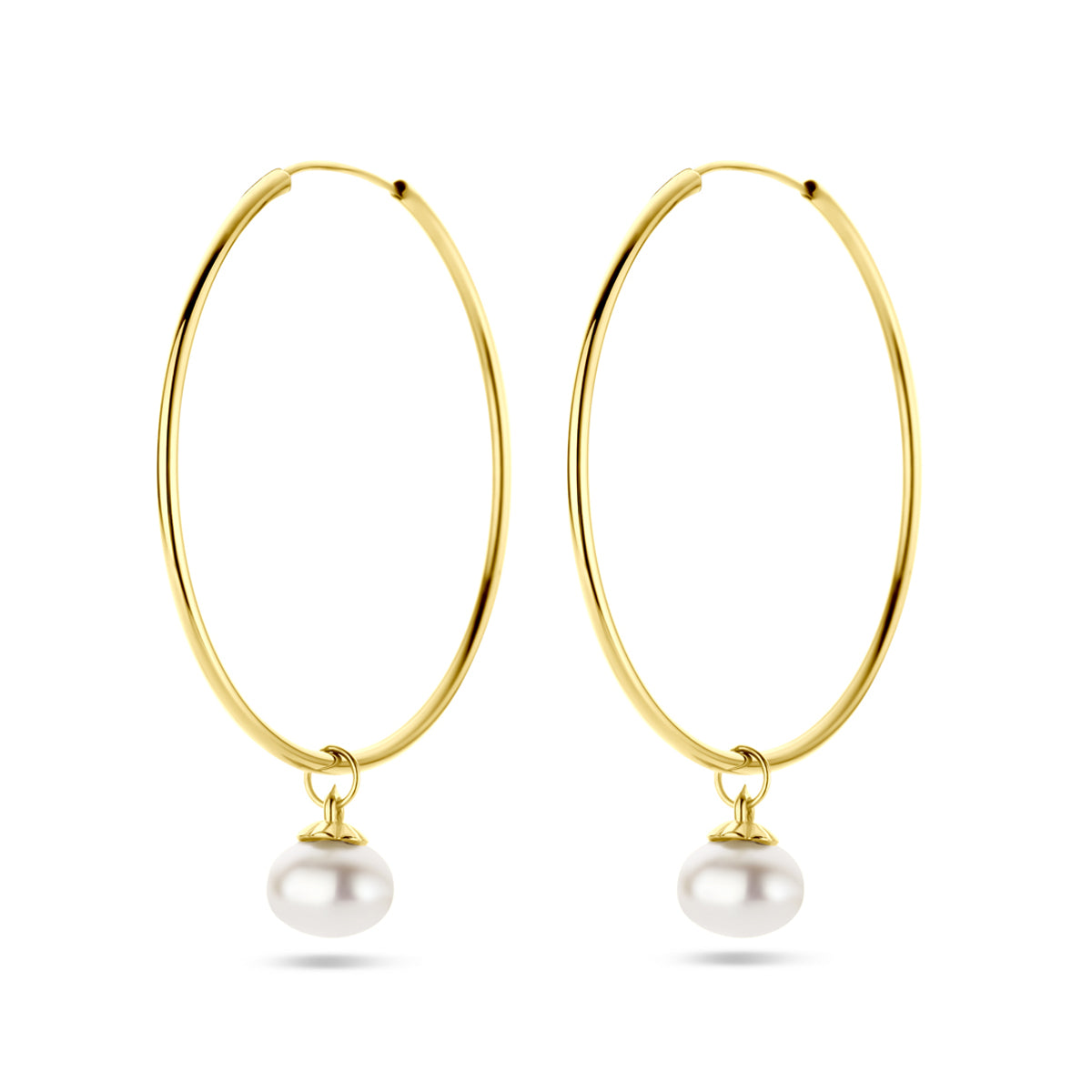 Oorringen parel 14k geelgoud