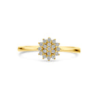 Ring zirkonia 14k geelgoud