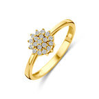Ring zirkonia 14k geelgoud