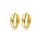 Klapoorringen 14k geelgoud