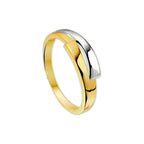 Ring 14k bicolor goud geel/wit