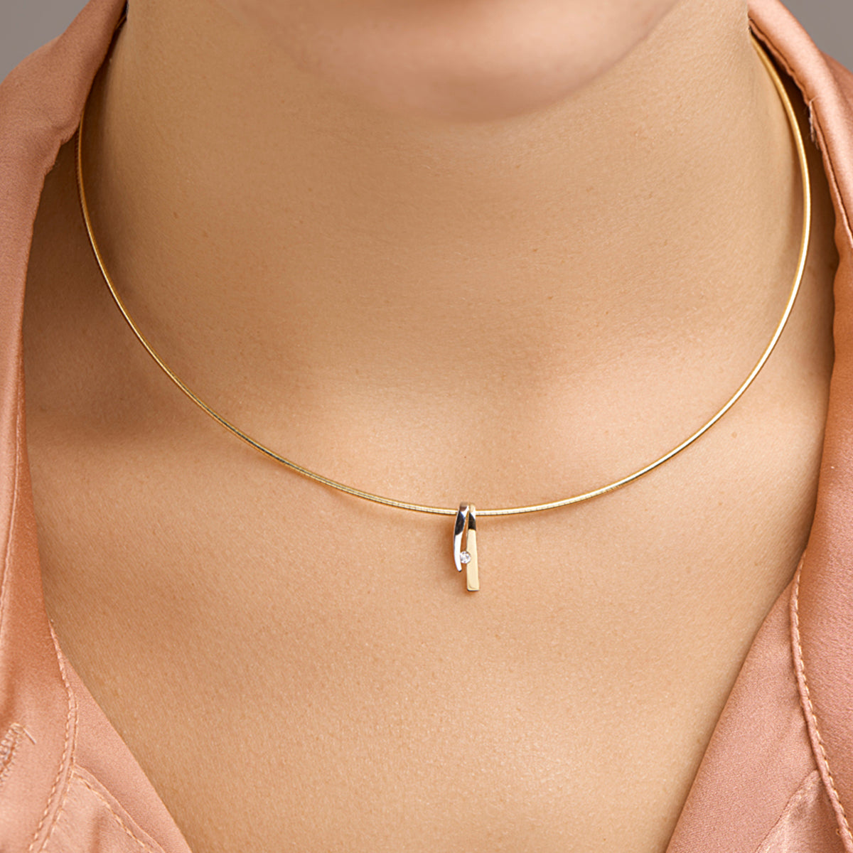 Hanger zirkonia 14k bicolor goud geel/wit