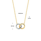 Collier rondjes 40 - 42 - 44 cm 14k bicolor goud geel/wit