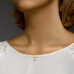 Hanger zirkonia 14k bicolor goud geel/wit