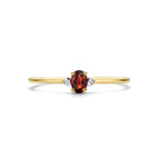 Ring Trilogie Granat und Diamant 0,006ct H P1 14K Gelbgold