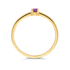 Ring mit Geburtsstein Amethyst Februar 14K Gelbgold
