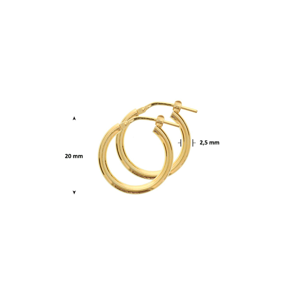 oorringen 2,5 mm ronde buis 1 micron zilver verguld (geel)