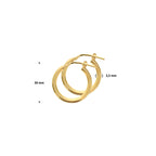 oorringen 2,5 mm ronde buis 1 micron zilver verguld (geel)