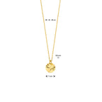collier rondje 40 - 42 - 44 cm 14K geelgoud