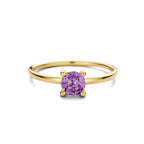 ring amethist 14K geelgoud