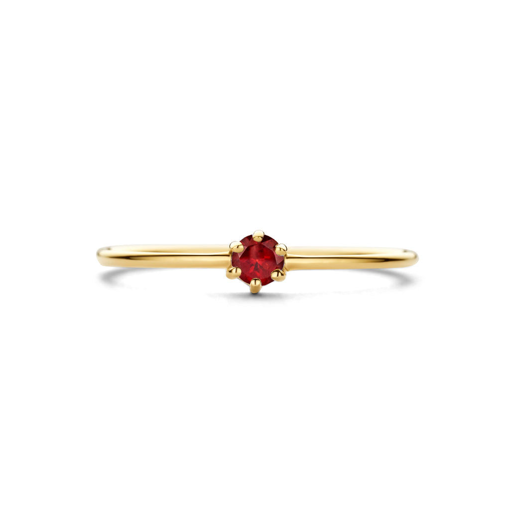 Ring mit Geburtsstein Granat Januar 14K Gelbgold