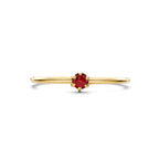 Ring mit Geburtsstein Granat Januar 14K Gelbgold