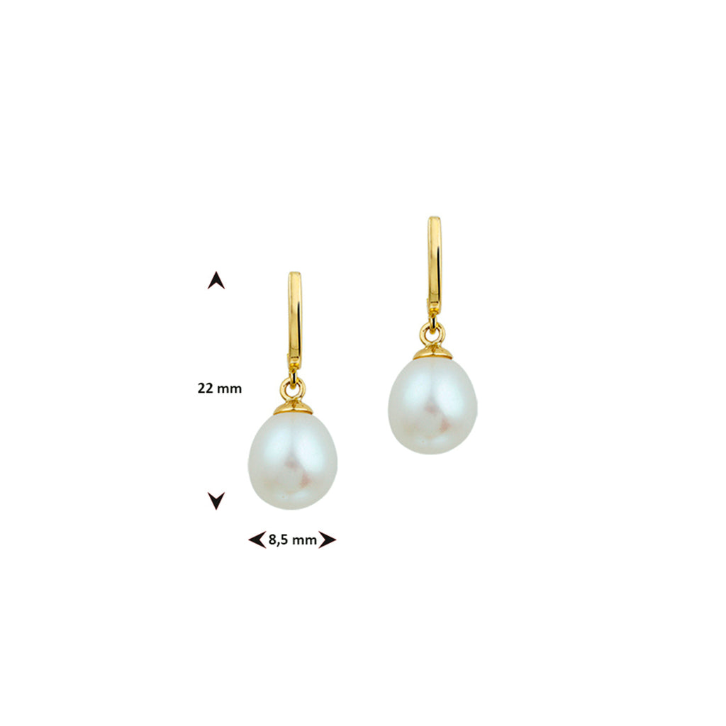 Perlenohrringe 12 x 8,5 mm 14K Gelbgold