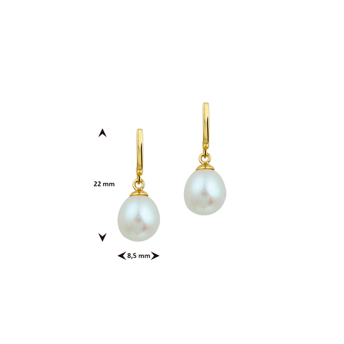 Perlenohrringe 12 x 8,5 mm 14K Gelbgold