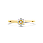 Ring Zirkonia 14K Gelbgold
