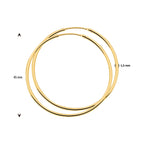 oorringen ronde buis 1,5 mm 1 micron zilver verguld (geel)