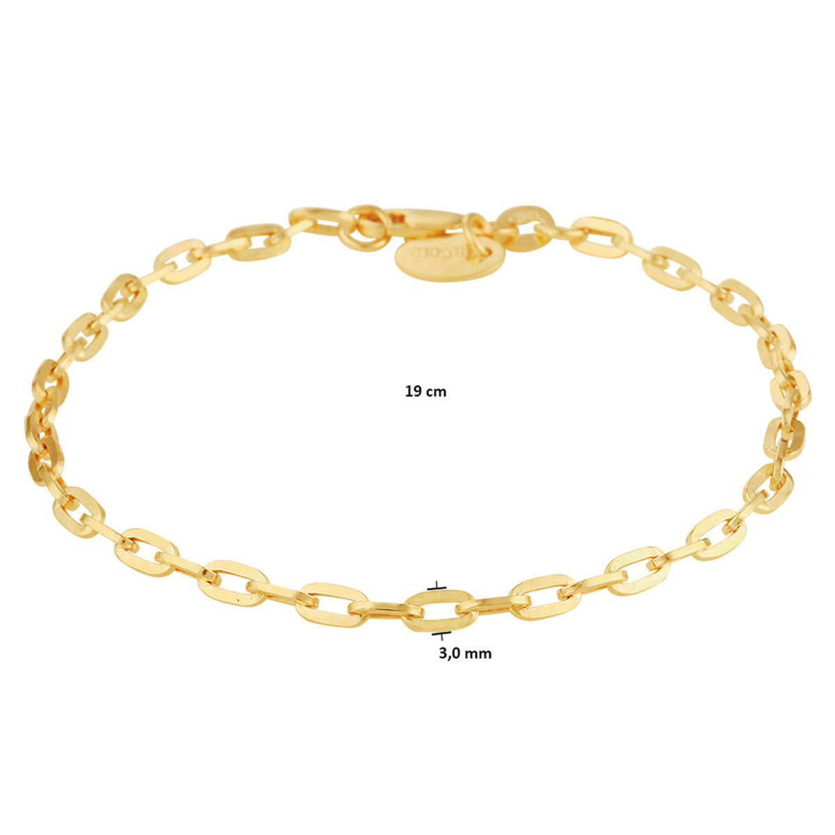 Armband Anker 3,0 mm 19 cm Silgold (Gelb mit Silberkern)