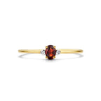 Ring Trilogie Granat und Diamant 0,006ct H P1 14K Gelbgold