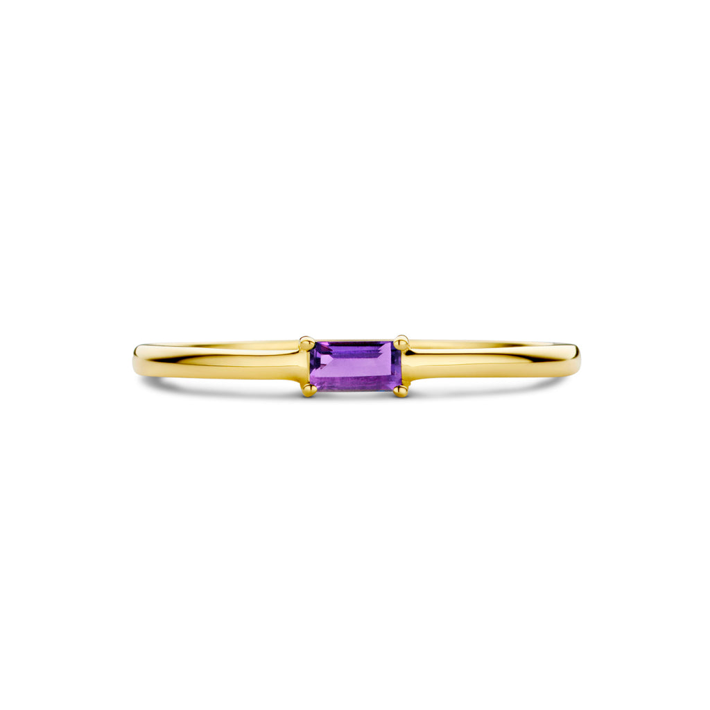 Ring mit Geburtsstein Amethyst Februar 14K Gelbgold