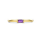 Ring mit Geburtsstein Amethyst Februar 14K Gelbgold